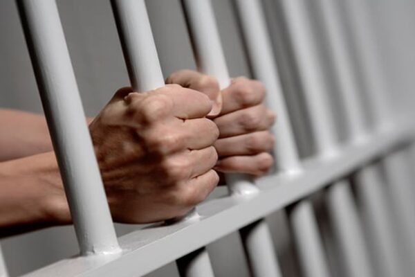 court arraigned 12 others
