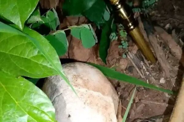 Enugu Police Uncover Suspected Ritual Site Police investigate ritual site