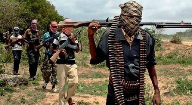 attack in adamawa